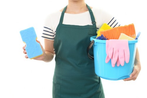 House cleaning routine in a bright living room