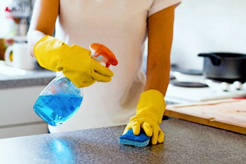 Home cleaning routine with organized household surfaces