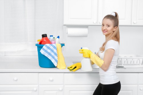 Professional domestic cleaning in a bright living room