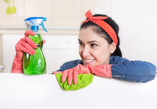 Deep domestic cleaning tools and surfaces in a modern home